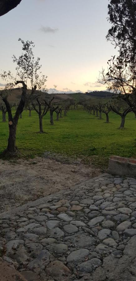 Agriturismo La Mandragola Relais Crotone Exterior photo