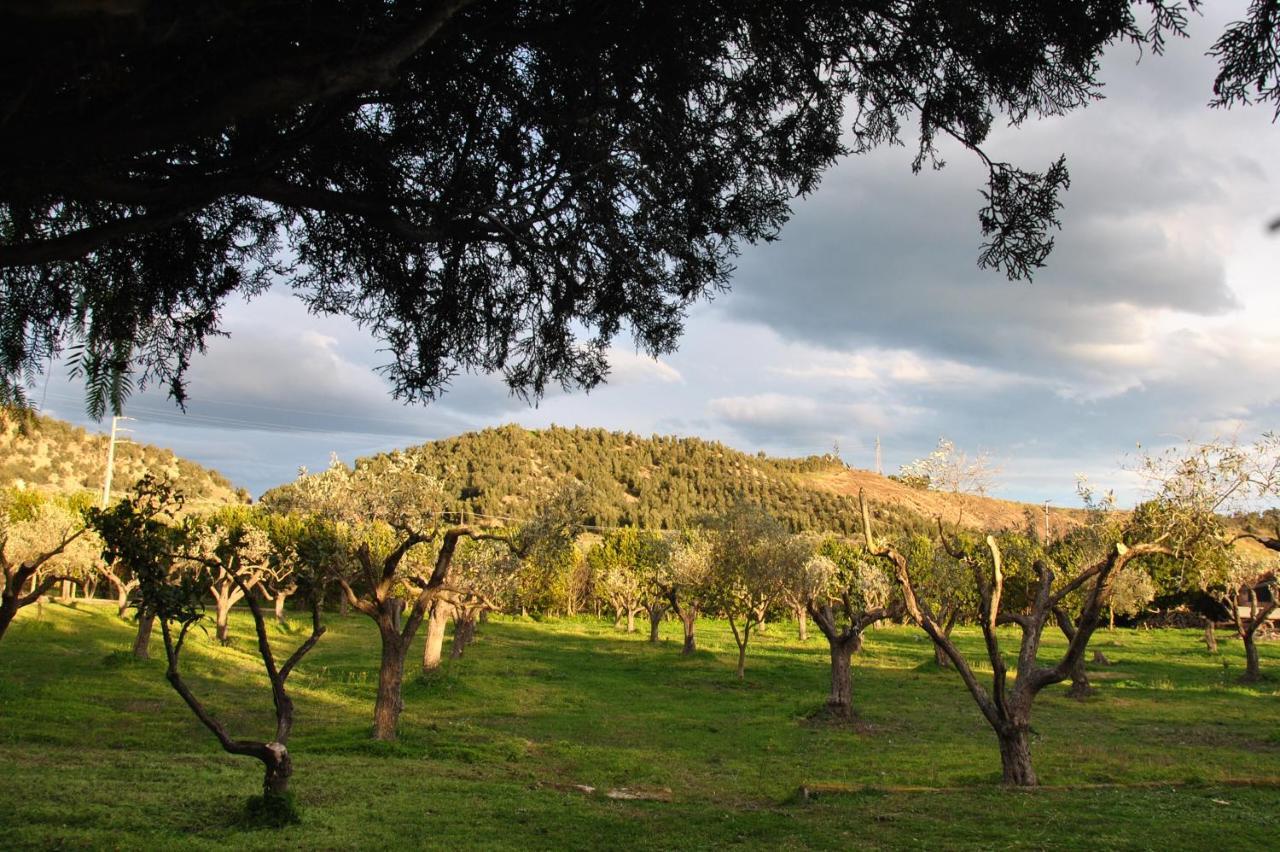 Agriturismo La Mandragola Relais Crotone Exterior photo