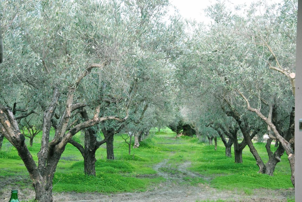 Agriturismo La Mandragola Relais Crotone Exterior photo